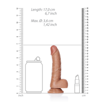 Curved Realistic Dildo with Balls and Suction Cup - 6 / 15,5 cm