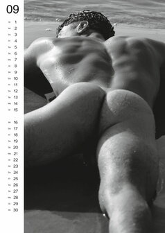 Voordeelbundel Sexy Kalenders Men + Real Cocks 2026