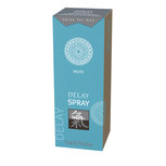 Delay Orgasme vertragende Spray Delay Orgasme vertragende Spray