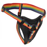 Take the Rainbow Universeel Strap-on Harnas Take the Rainbow Universeel Strap-on Harnas